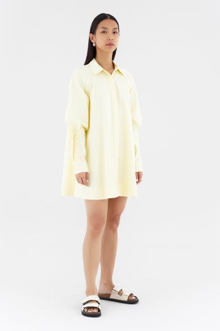 Luella Shirtdress