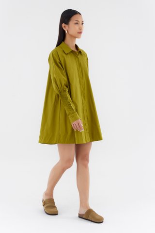 Luella Shirtdress