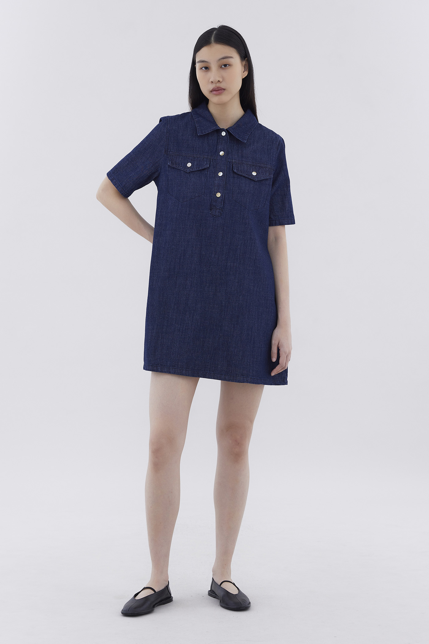 Ferances Shirt Dress